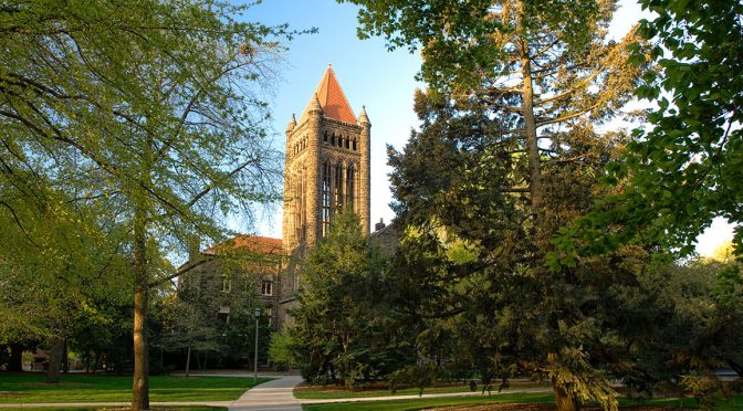 path leading to Altgeld Hall and bell tower at the University of Illinois